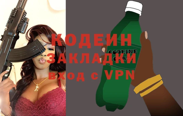 хмурый Арсеньев