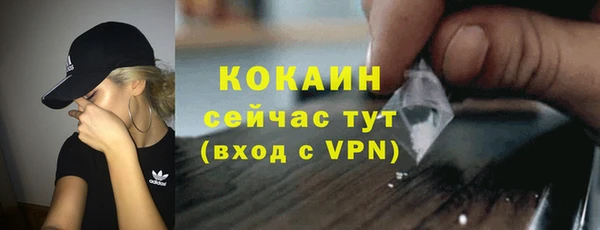 хмурый Арсеньев