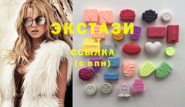 эйфоретик Аркадак