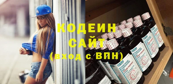 хмурый Арсеньев