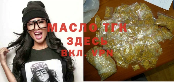 хмурый Арсеньев