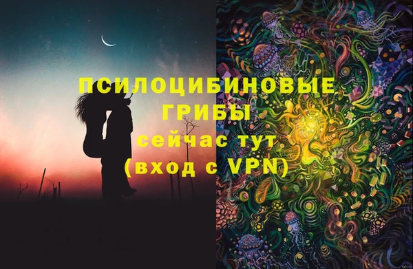 хмурый Арсеньев