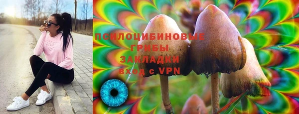 эйфоретик Аркадак