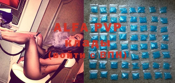хмурый Арсеньев