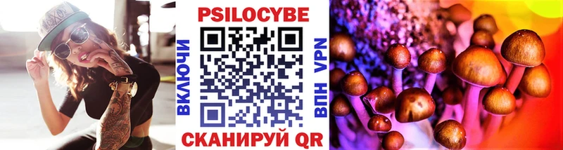 где можно купить   Полевской  Галлюциногенные грибы GOLDEN TEACHER 